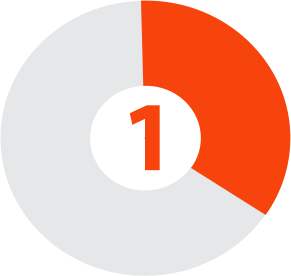 Year One Wheel Graph